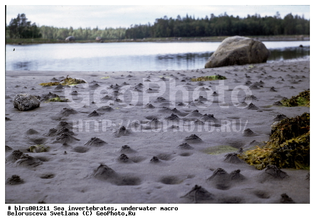 ����� ����, ��������������, ��������, �����������, ��������������� �����, ������� ��������, ���������, ���������, ��������