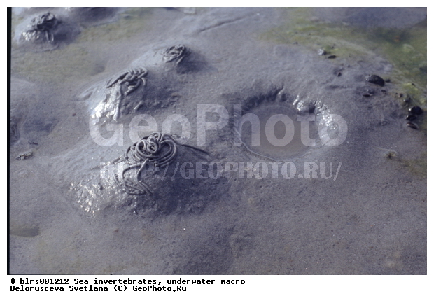 ����� ����, ��������������, ��������, �����������, ��������������� �����, ������� ��������, ���������, ���������, ��������