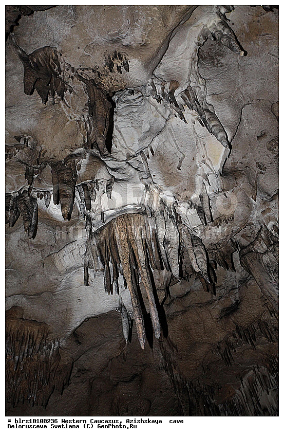 ������, ��������, ����, �������� ������, ���������� ������, ��������, ���� �����, ������