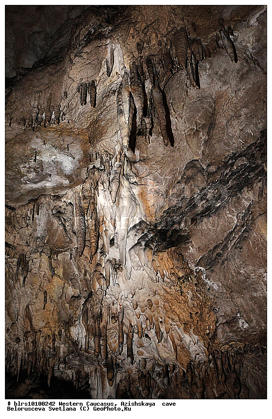 ������, ��������, ����, �������� ������, ���������� ������, ��������, ���� �����, ������