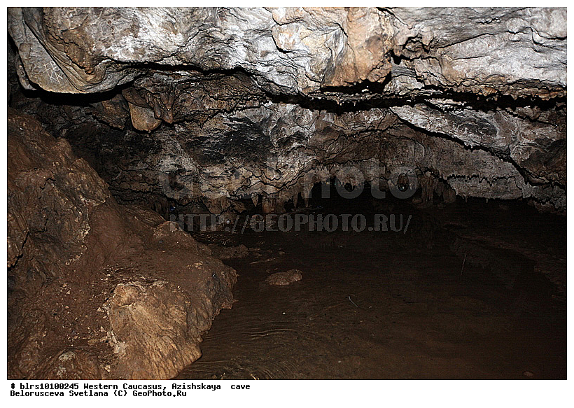 ������, ��������, ����, �������� ������, ���������� ������, ��������, ���� �����, ������