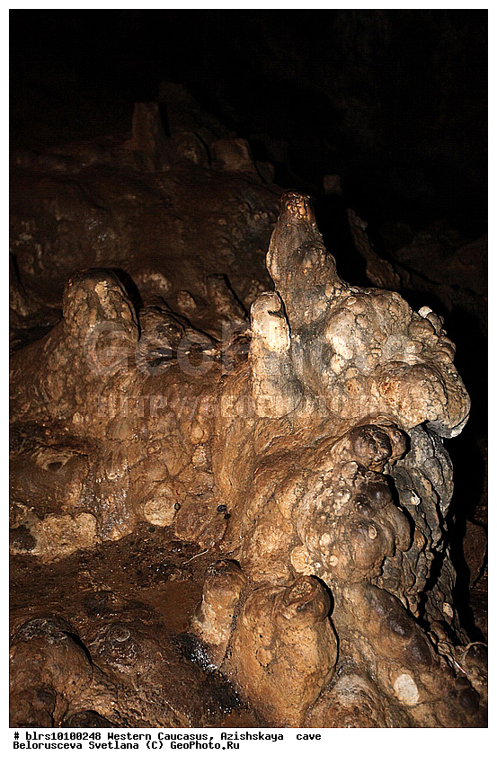 ������, ��������, ����, �������� ������, ���������� ������, ��������, ���� �����, ������