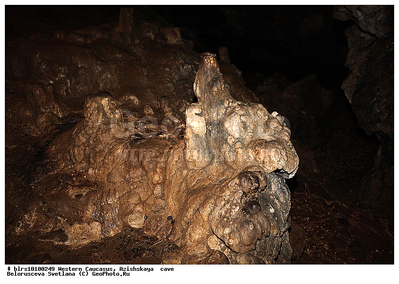 ������, ��������, ����, �������� ������, ���������� ������, ��������, ���� �����, ������