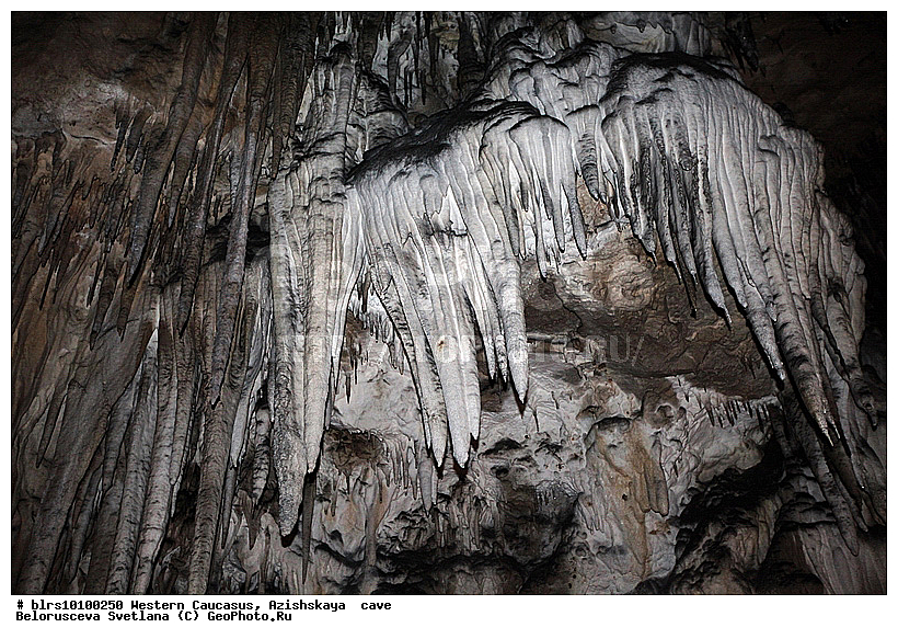 ������, ��������, ����, �������� ������, ���������� ������, ��������, ���� �����, ������