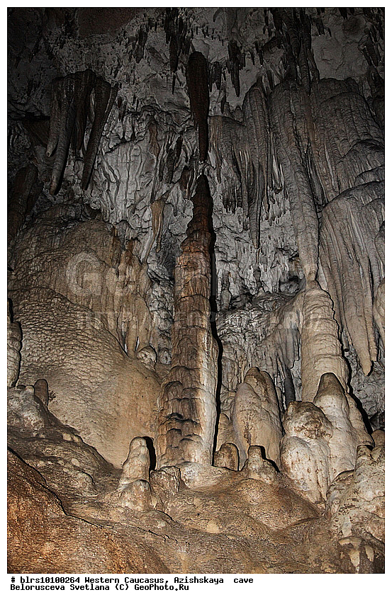 ������, ��������, ����, �������� ������, ���������� ������, ��������, ���� �����, ������