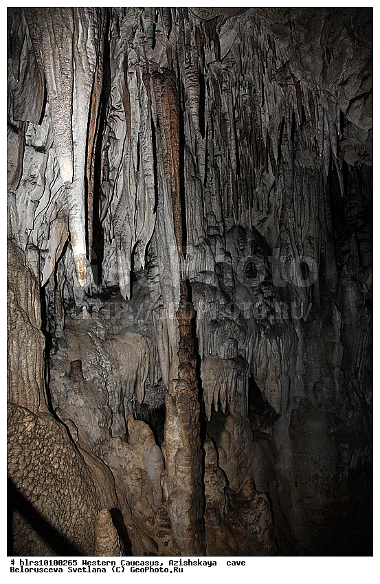 ������, ��������, ����, �������� ������, ���������� ������, ��������, ���� �����, ������