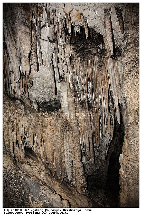 ������, ��������, ����, �������� ������, ���������� ������, ��������, ���� �����, ������