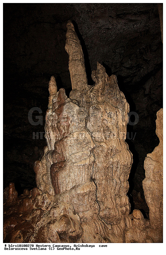 ������, ��������, ����, �������� ������, ���������� ������, ��������, ���� �����, ������