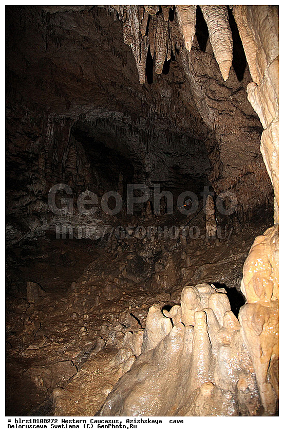 ������, ��������, ����, �������� ������, ���������� ������, ��������, ���� �����, ������