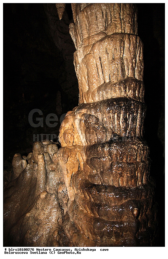 ������, ��������, ����, �������� ������, ���������� ������, ��������, ���� �����, ������