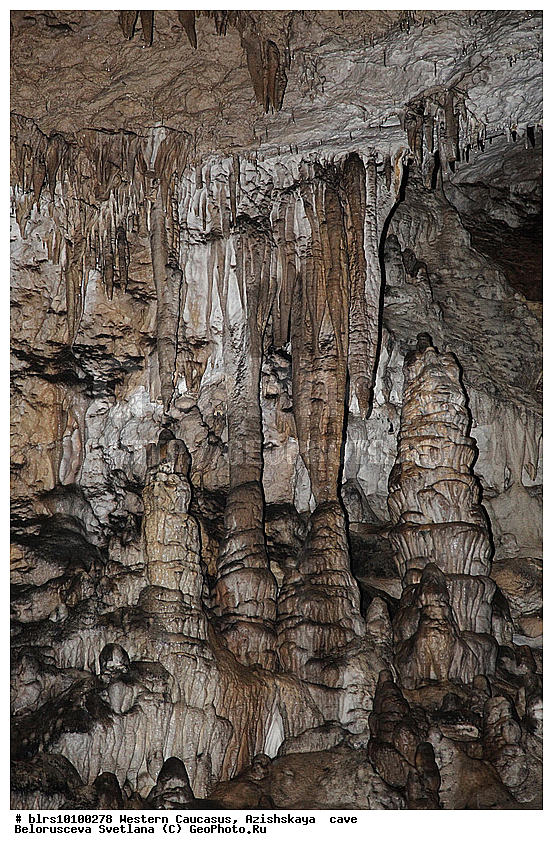 ������, ��������, ����, �������� ������, ���������� ������, ��������, ���� �����, ������