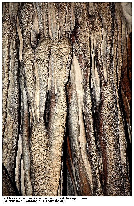 ������, ��������, ����, �������� ������, ���������� ������, ��������, ���� �����, ������