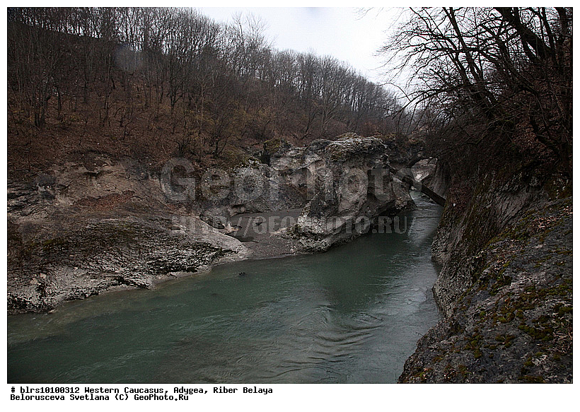 ������, ����, �������� ������, ���������� ������, ���� �����, �������� �������