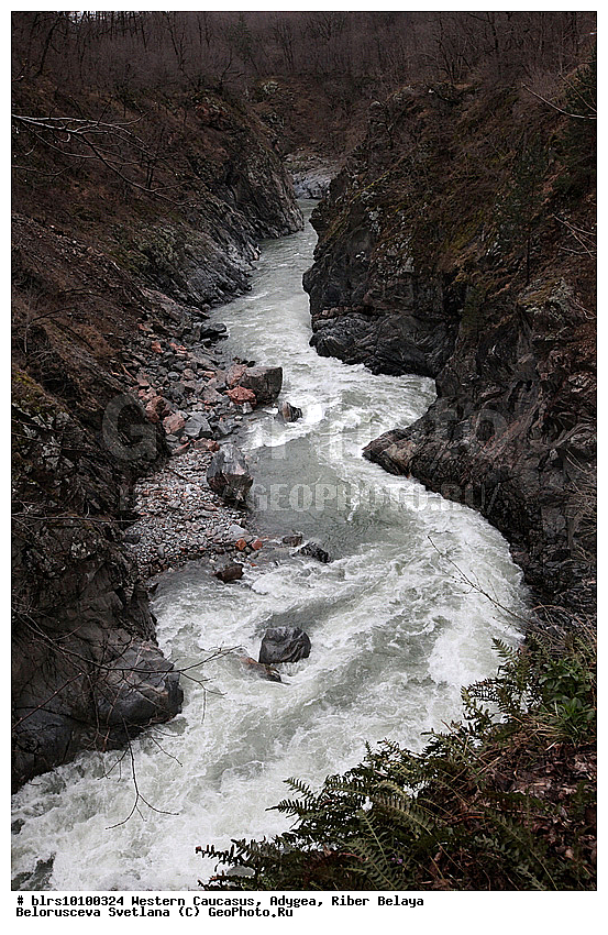 ������, ����, �������� ������, ���������� ������, ���� �����, �������� �������