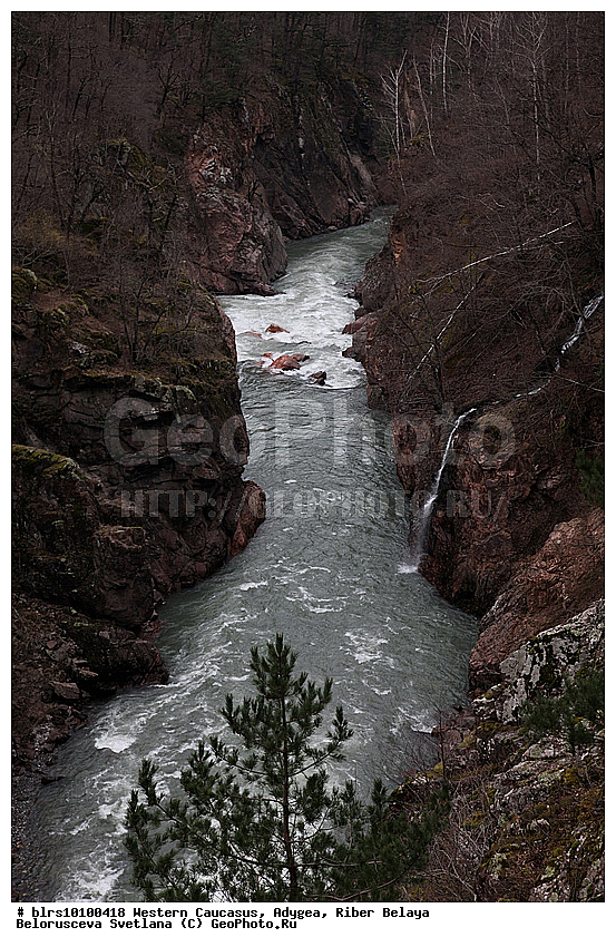 ������, ����, �������� ������, ���������� ������, ���� �����, �������� �������