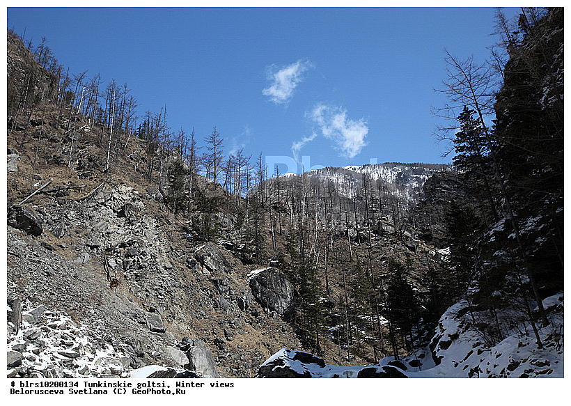 �������, ��������� �����, ����, �����, ���������� ������, ����������, ������, ������