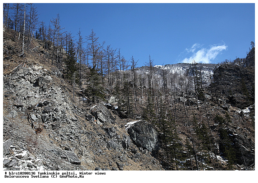 �������, ��������� �����, ����, �����, ���������� ������, ����������, ������, ������