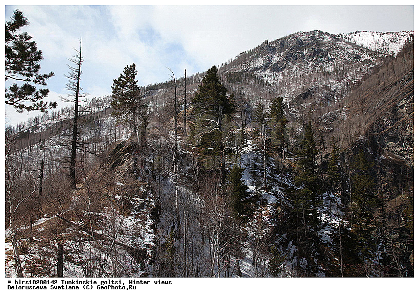 �������, ��������� �����, ����, �����, ���������� ������, ����������, ������, ������