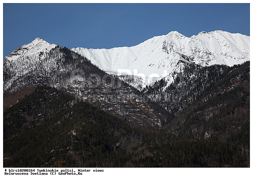 �������, ��������� �����, ����, �����, ���������� ������, ����������, ������, ������