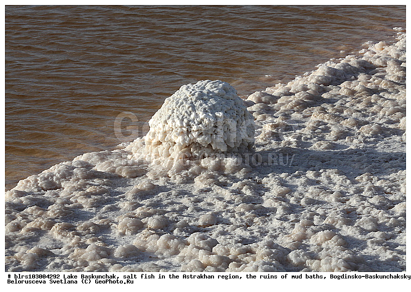 ���������-������������� ����������, ���������, ���������, ������� �����, ����, ������� ��������