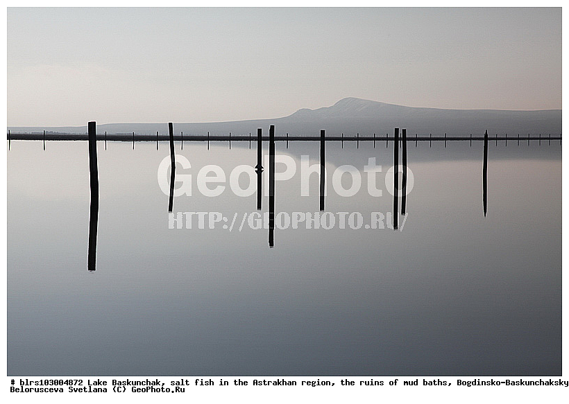 ���������-������������� ����������, ���������, ���������, ������� �����, ����, ������� ��������