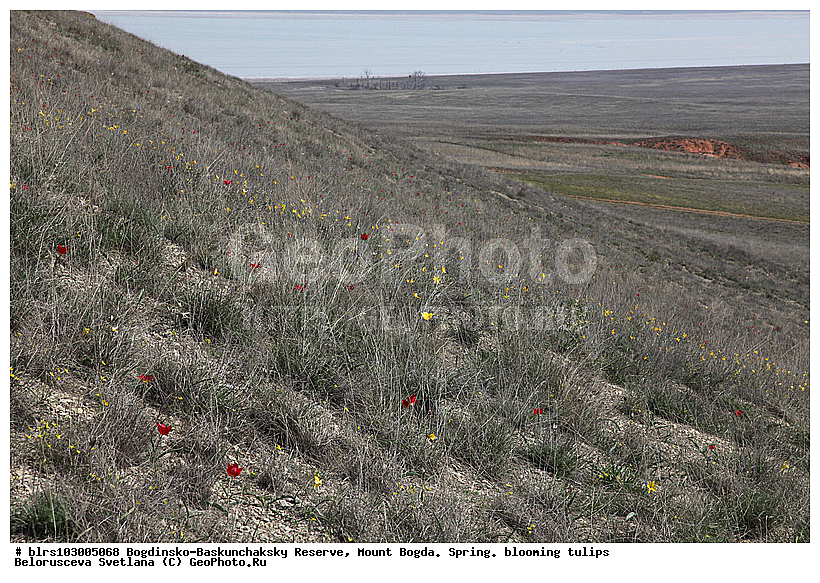 ���������-������������� ����������, ���������, �����, ��������� ����, �����, �������� ���������