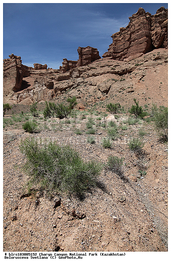 ������������ ����, ��������� ������, ���������, �����, ��������, ���������, ����� ���������, ���, ��������, ������, ����������, ������, ������������, ����, �������, �����������, ����, ������