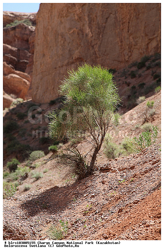 ������������ ����, ��������� ������, ���������, �����, ��������, ���������, ����� ���������, ���, ��������, ������, ����������, ������, ������������, ����, �������, �����������, ����, ������