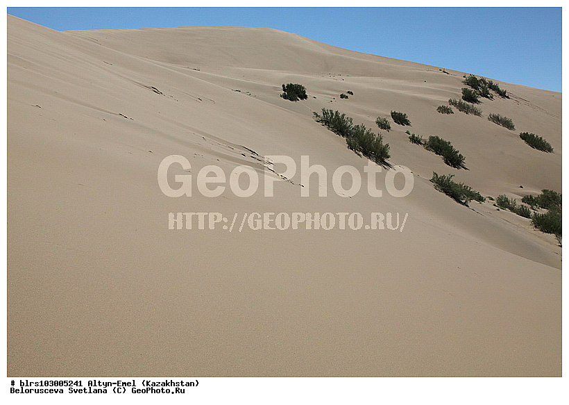 ������������ ����, �����-�����, ���������, �����, ��������,  ��������, ������, ���������, ������� ����, ����������� ������, �����, ������, �����, ����, ��������, ����, �����, ������, ��������