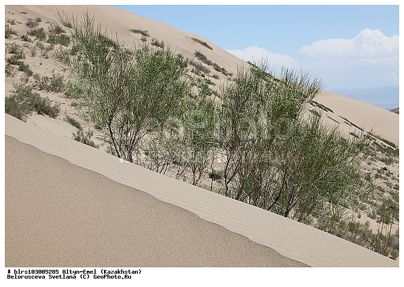 ������������ ����, �����-�����, ���������, �����, ��������,  ��������, ������, ���������, ������� ����, ����������� ������, �����, ������, �����, ����, ��������, ����, �����, ������, ��������