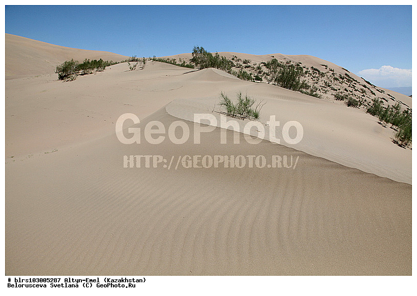 ������������ ����, �����-�����, ���������, �����, ��������,  ��������, ������, ���������, ������� ����, ����������� ������, �����, ������, �����, ����, ��������, ����, �����, ������, ��������