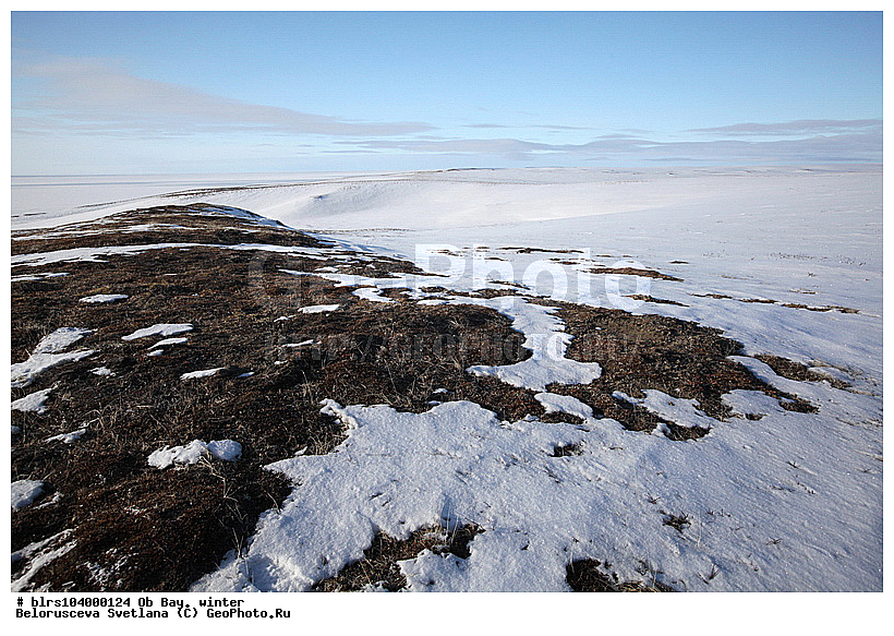 ������ ����,  ����, �����, ���