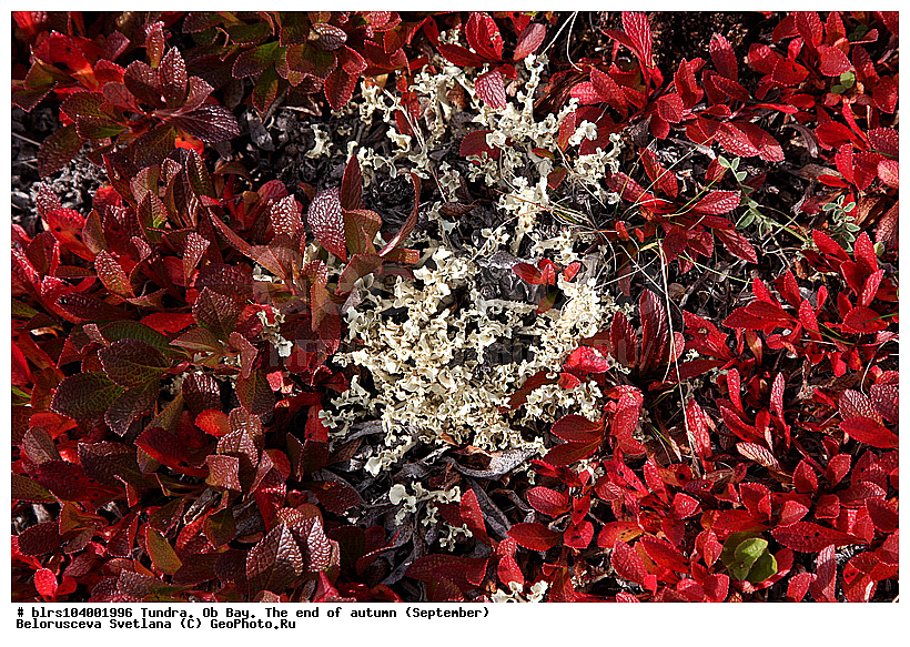 ������ ����,  ������, �����, ��������, �����-��������, ������, �������� ������, �������