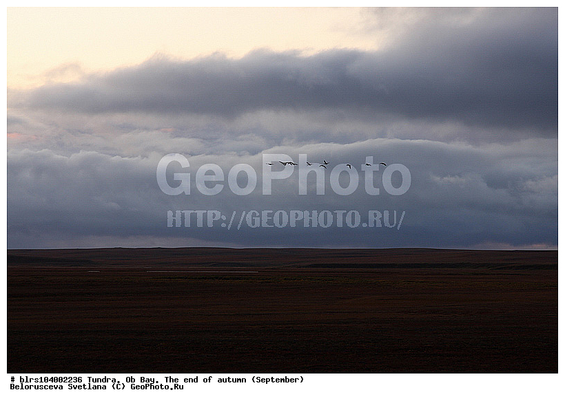 ������ ����,  ������, �����, ��������, �����-��������, ������, �������� ������, �������