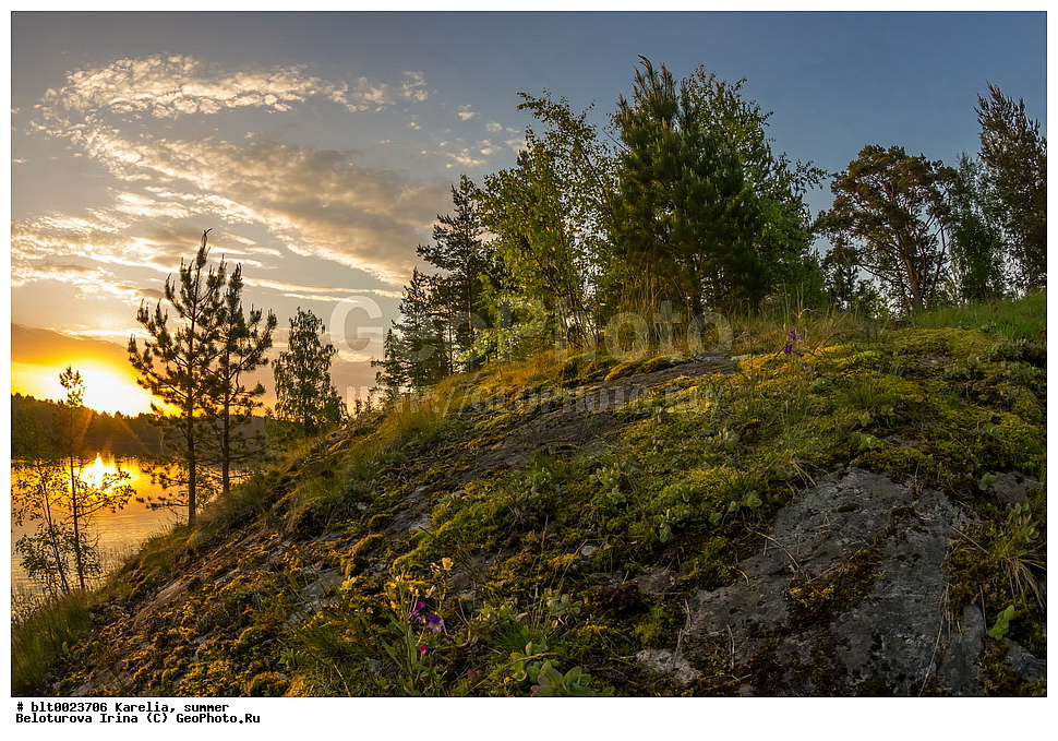 �������, ����, ������, �����, �������, ������, �����, ����, �������, ������, �����, ����, �����