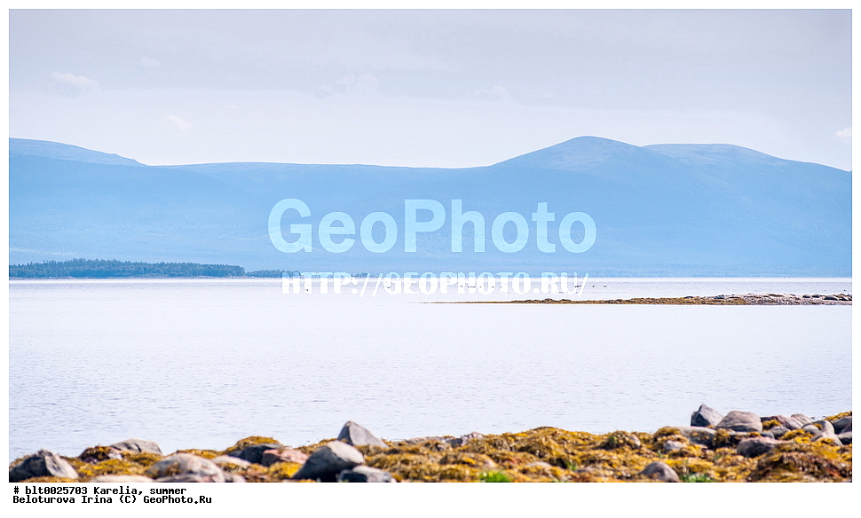 �������, ����, ������, �����, �����, ����, �������������, �����, ��������, ����������, ����, ����