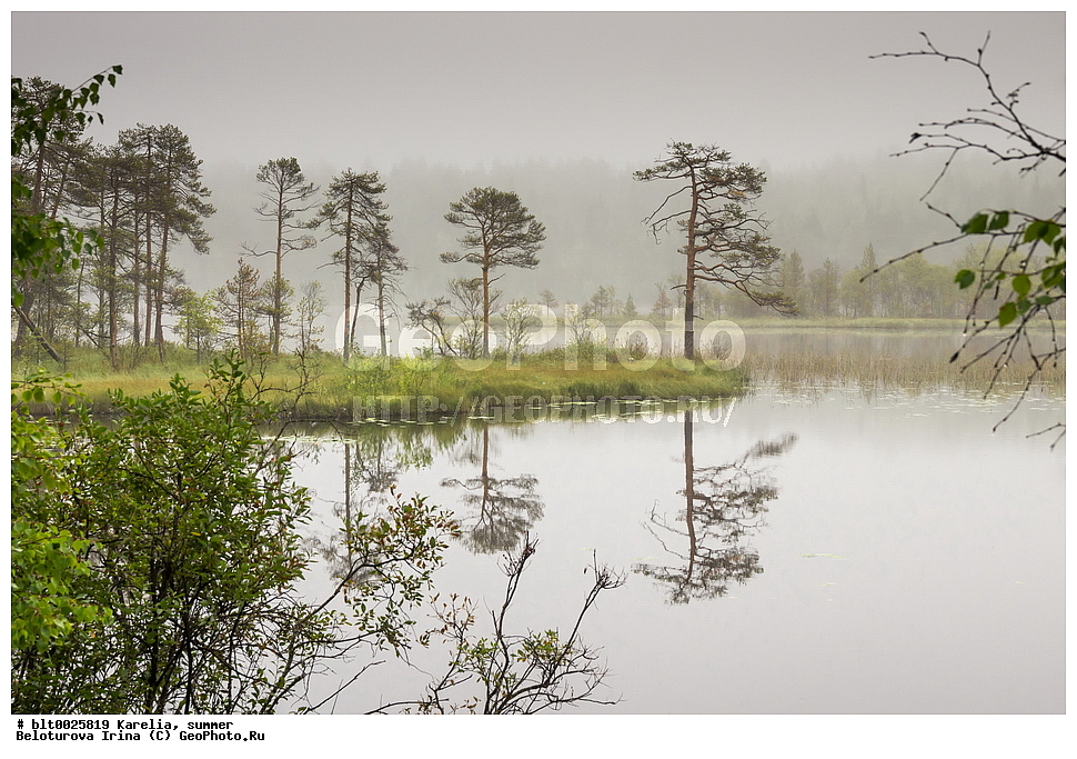 �������, ����, ������, �����, �����, �����, ��������, ����, �������, ������, �����, ���������