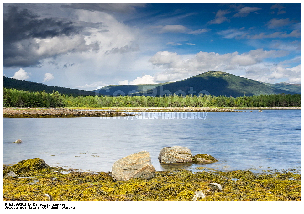 �������, ����, ������, �����, �����, ����, �������������, �����, ��������, ����������, ����, ����