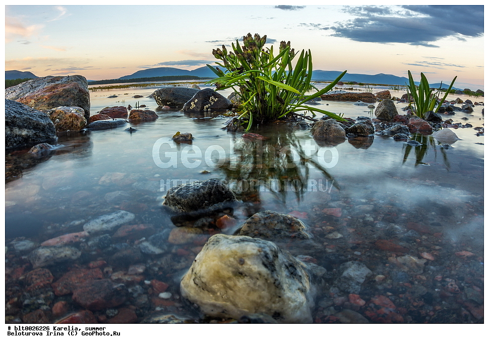�������, ����, ������, �����, �����, ����, �������������, �����, ��������, ����������, ����, ����