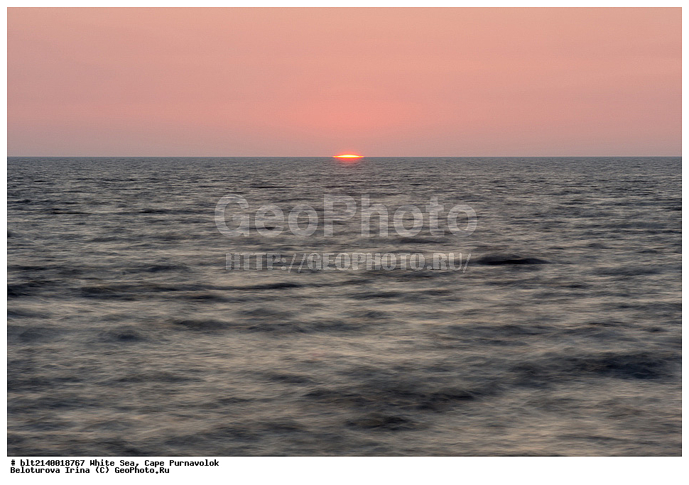 White Sea, Cape Purnavolok, ����� ����, ��� ����������, �����, ����, ���, ����������, ������, �������, ��������, ����, ����, ������, ����� ����, ��� ����������, �����, ����, ���, ����������, ������, �������, ��������, ����, ����, ������