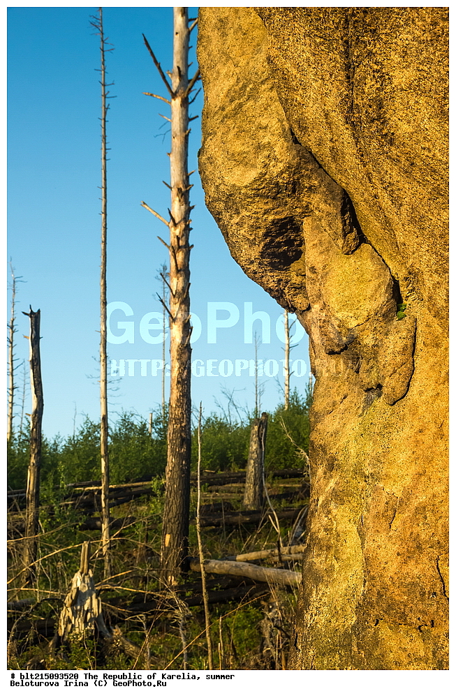 �������, ����, ����, ����, ������, ������, �����, ��������, ������, �����, ��������, ������, ������, �������, �����, �����