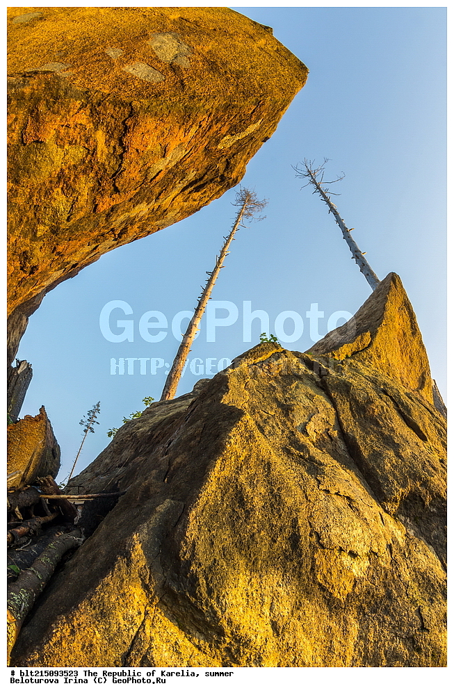 �������, ����, ����, ����, ������, ������, �����, ��������, ������, �����, ��������, ������, ������, �������, �����, �����