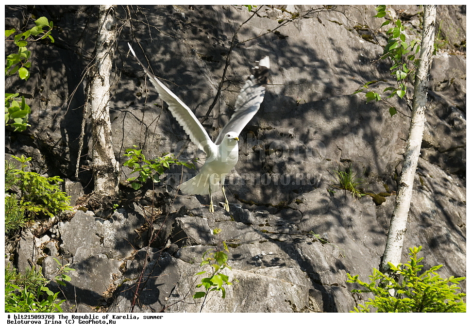 �������, ����, ����, ����, ������, �����, �����, �����, ����, ����