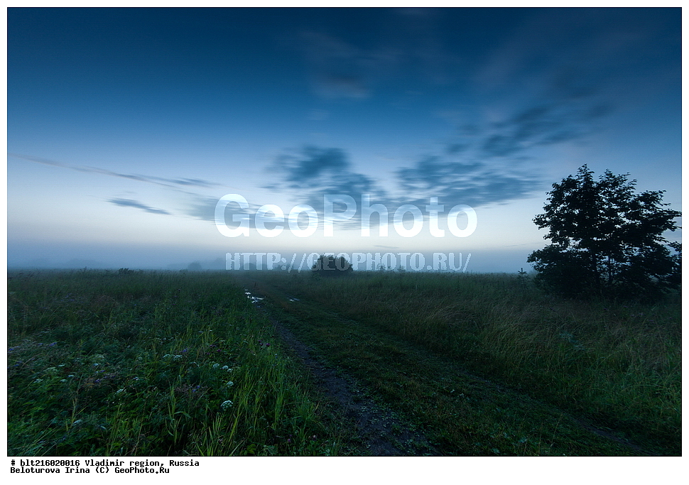 ������������ �������, ������, ������