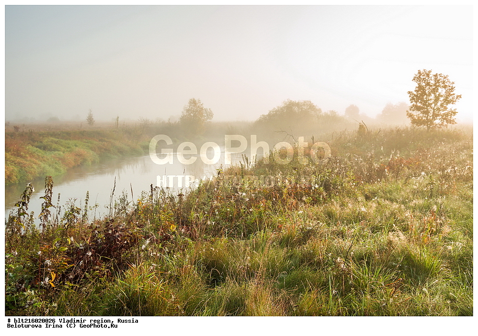 ������������ �������, ������, ������