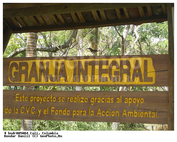 ����, ��������, ��������� �������, ����� �������, �������, �������, ����������, �������, ��������, �����, �����, �����