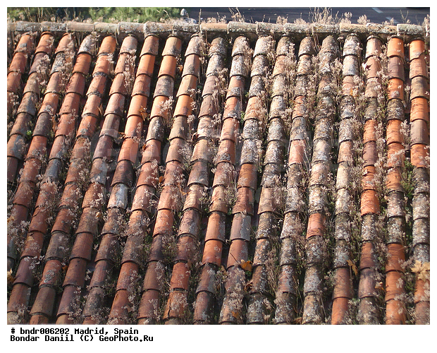 ������, �����������, �������, ������, �����������, � �����, ����������, �������, �����, ��������, �� �����, ������������ ��������, ��������, ��������, �����, ������, ��������