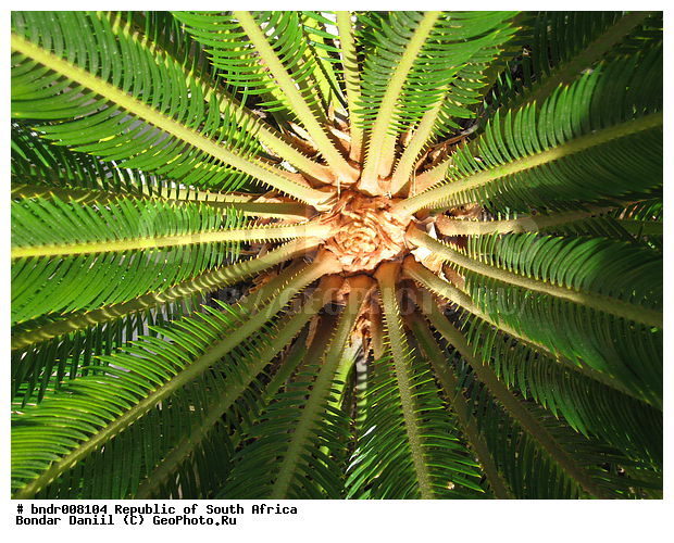 ������, ������������ ���, ��������, ���, �����, �����, ������, �������, ������, ������, ������, �������, ��������, ��������������, ����������, ������