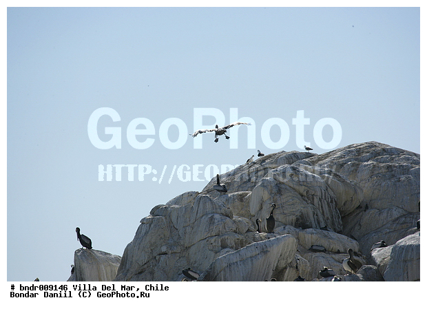 �����-����-���, ��������� �������, ����, ����� �������, �����, � ������, �������, �����, ������, ����, ������, �����, �������, ����, ������, �����, �����, �����, ������, �����, ����� ��������, �����