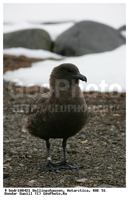 ����������, ����������, �������������, ���, ��� 51, ��� 2005, ���������� �������������� ����������, ����� �����, �����, �� �����, ����, ��������, �������, �����, ����� ��������, �����, ����������